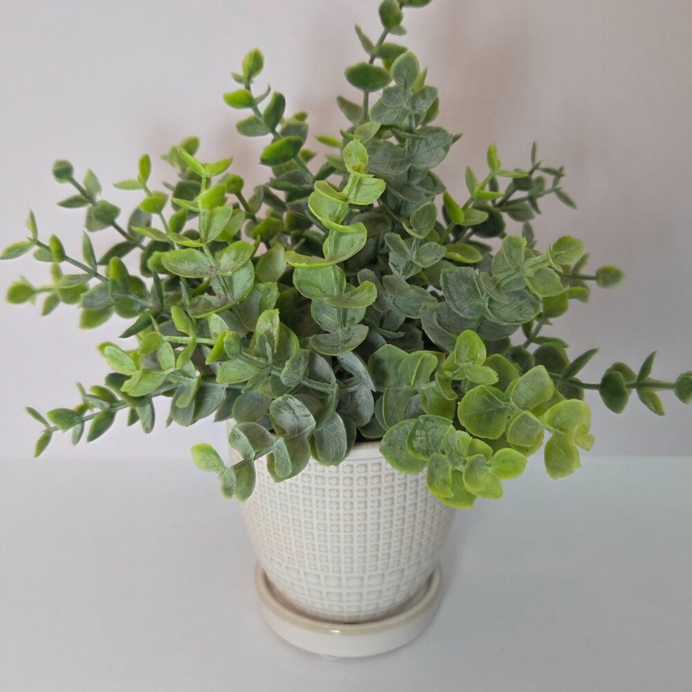 Artificial Eucalyptus Plant in Ceramic Pot, Cream/Ivory - Like New